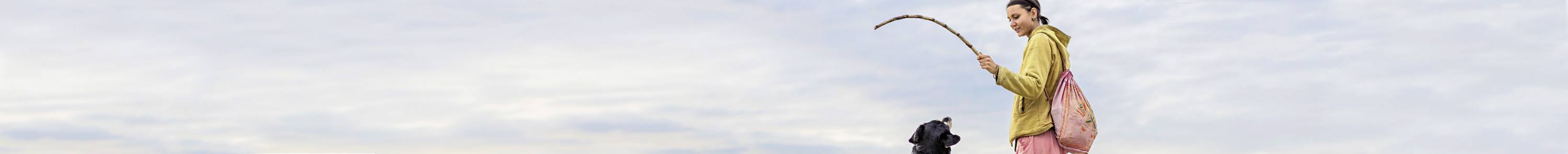 banner-image-large